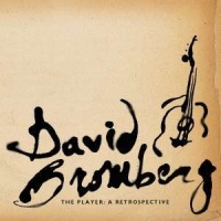 David Bromberg The Player  A Retrospective