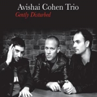 Cohen, Avishai Gently Disturbed