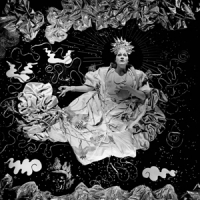 Fort Romeau Beings Of Light (silver Halide)