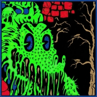 King Gizzard & The Lizard Wizard Live In Asheville  19