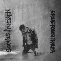 Socialstyrelsen & Brute Force Trauma Split