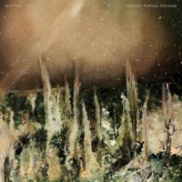 Whitney Forever Turned Around (forest Bark)