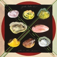 Gentle Leader Xiv Joke In The Shadow