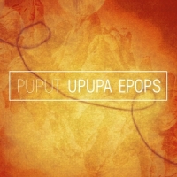 Puput Upupa Epops (yellow/orange)