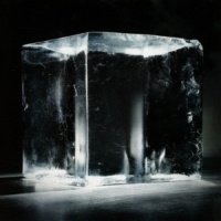 Jewel, Johnny Digital Rain