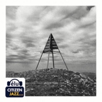 Asylon Terra Big Birds Flying