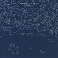 Mammal Hands Animalia