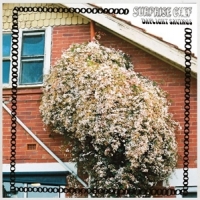 Surprise Chef Daylight Savings