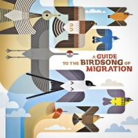 Various A Guide To The Birdsong Of Migration