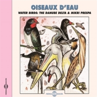 Sons De La Nature Oiseaux D Eau. Le Concert Des Oisea