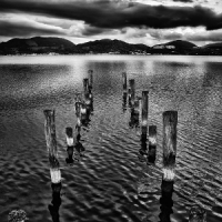 Race, Hugo & Gianni Maroccolo The Vigil