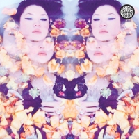 Magic Castles Starflower