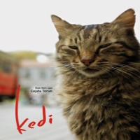 Movie/documentary Kedi