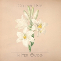 Colour Haze In Her Garden