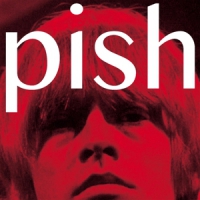 Brian Jonestown Massacre Mini Album Thingy Wingy