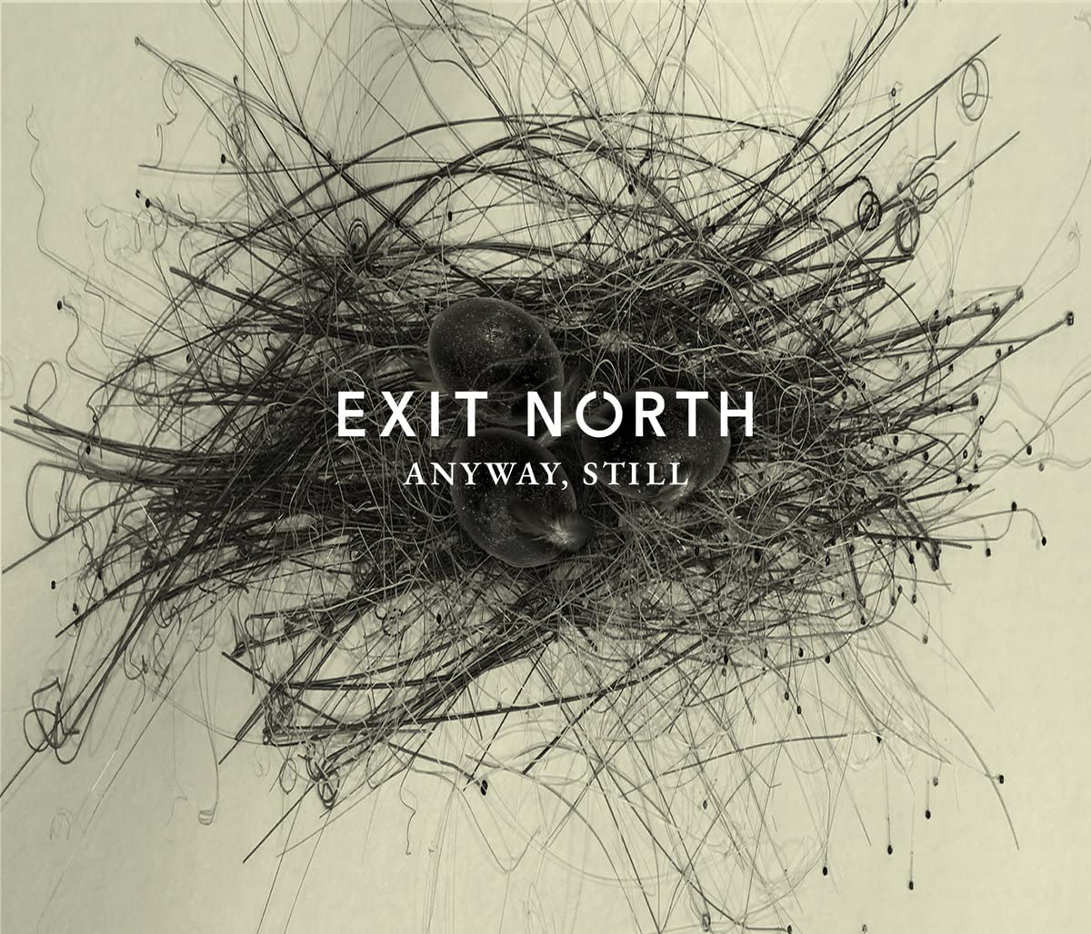 Exit North Anyway, Still