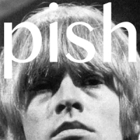 Brian Jonestown Massacre Mini Album Thingy Wingy