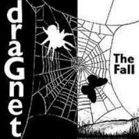 Fall Dragnet