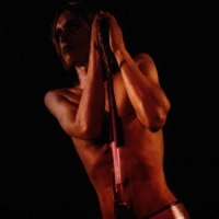 Iggy & The Stooges Raw Power