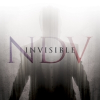 D'virgilio, Nick Invisible