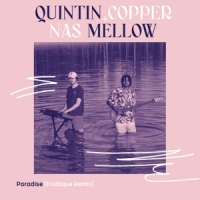 Copper, Quintin & Nas Mellow Paradise (erobique Remix)