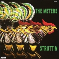 Meters Struttin  (premium Black)