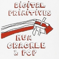 Digital Primitives Hum Crackle Pop