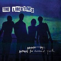 Libertines Anthems For The Doomed Youth