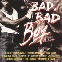 Various Bad Bad Boy