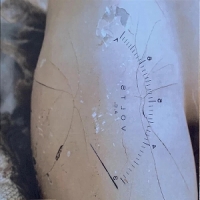 Thisquietarmy Phantom Limbs/luftpost