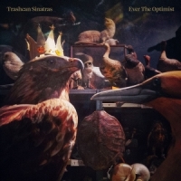 Trashcan Sinatras Ever The Optmist