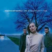 Hooverphonic The Magnificent Tree