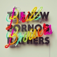 New Pornographers Brill Bruisers -coloured-