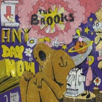 Brooks Anyday Now