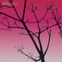 Motorpsycho Phanerothyme