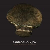 Band Of Holy Joy Fated Beautiful Mistakes