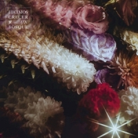 Fin Del Mundo Hicimos Crecer Un Bosque