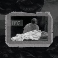 Steven Wilson (i.e.m.) Arcadia Son