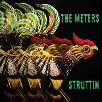 Meters Struttin'