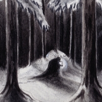 Havukruunu Havulinnaan