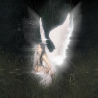 Barrett, Nessa Young Forever