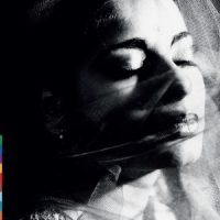 Chandra, Sheila Weaving My Ancestors Voices