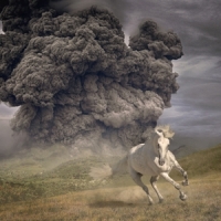 White Buffalo, The Year Of The Dark Horse -grey-