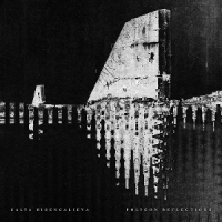 Bisengalieva, Galya Polygon Reflections