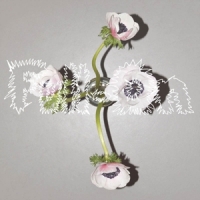 Lewis, Klara & Nik Colk Void Full-on (clear)