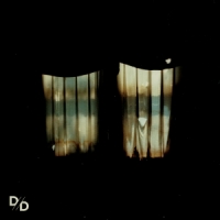 Divide And Dissolve Insatiable