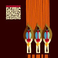 New Cool Collective Electric Monkey Sessions 1