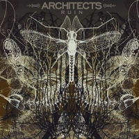 Architects Ruins