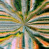 Hoffmann, Nils Everlight