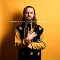 Tobias Wiklund Silver Needle